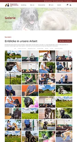 Sympic Webdesign - TGI Kalme Referenz Galerie
